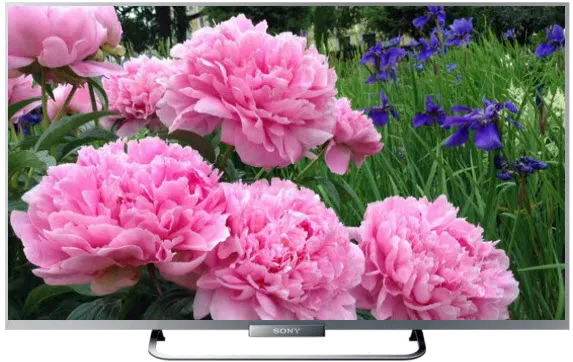 Восстановление после попадания влаги Sony KDL-24W605A