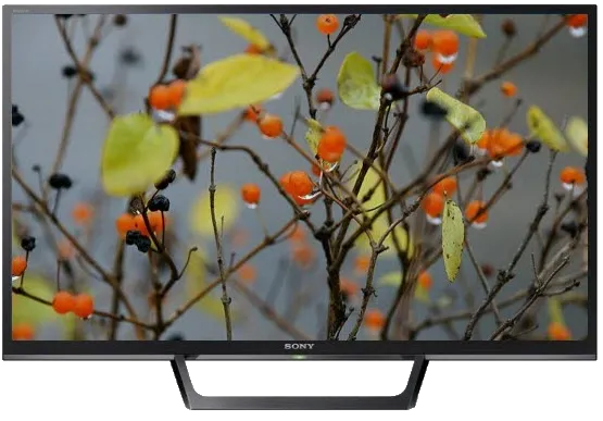 Восстановление после попадания влаги Sony KDL-32WE615