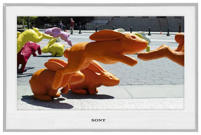 Восстановление после попадания влаги Sony KDL-26E4020