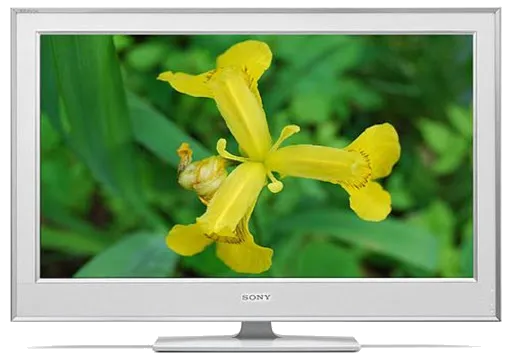 Восстановление после попадания влаги Sony KDL-40E4020