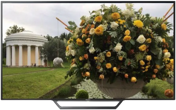 Восстановление после попадания влаги Sony KDL-48WD655