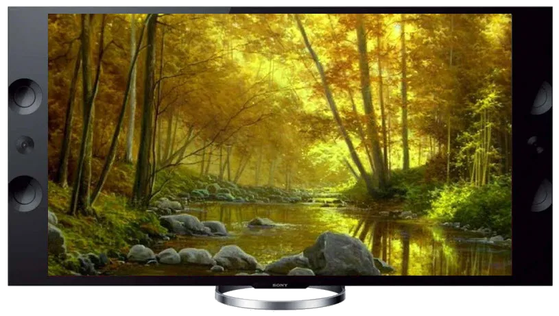 Восстановление после попадания влаги Sony KDL-65X8505A