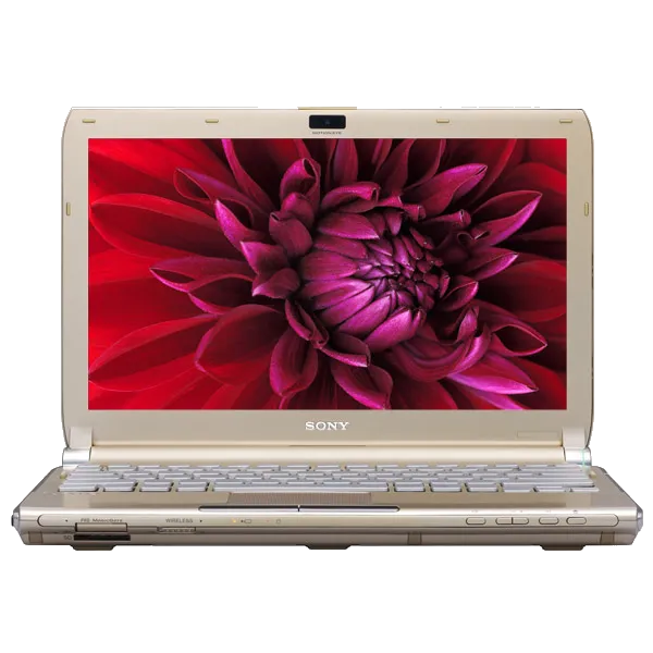 Замена корпуса Sony VAIO VGN-TT4MRG